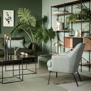 Plantes d'intérieur