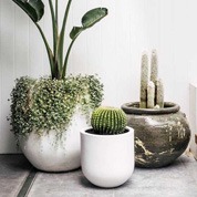 Pots en céramique