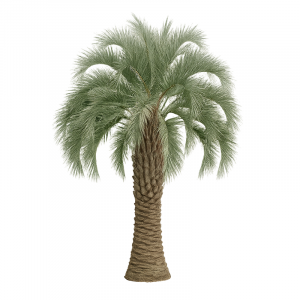 Arbre à laque