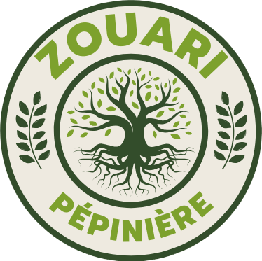 Pépinière Zouari